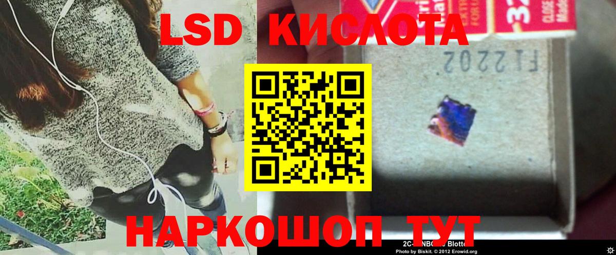 Псилоцибиновые грибы Камышин
