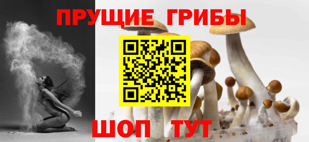 Камышин  Галлюциногенные грибы GOLDEN TEACHER  закладки  Псилоцибиновые грибы ЛСД  Вход с VPN 